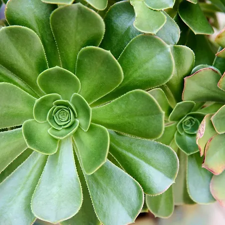 Lisbon Lodge Pensionat